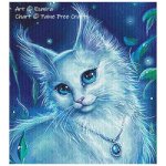 Angora (image for) Angora